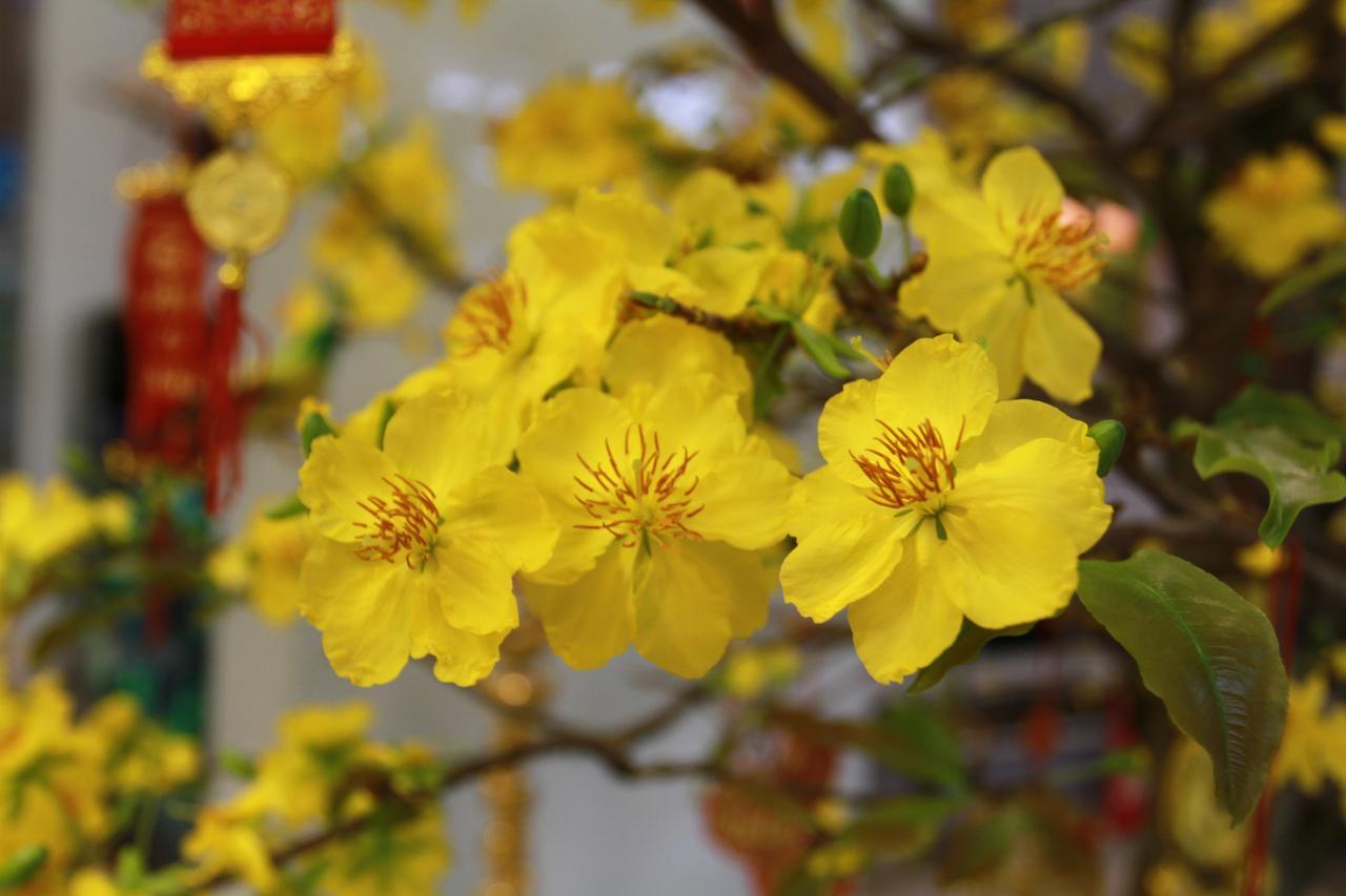 Ngoc Minh Hotel Ho Chi Minh Zewnętrze zdjęcie